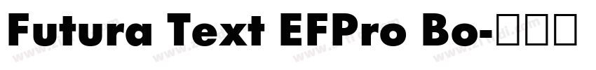Futura Text EFPro Bo字体转换